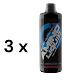 Scitec Nutrition Amino Liquid, 1000 ml Flasche, Kirsch-Guava/ 3 x 1000 ml - NirooX NutritionNirooX Nutrition