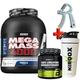 Weider Mega Mass 4000 3000g Dose Gainer Kohlenhydrate + Biotech USACreatine 300 - NirooX NutritionNirooX Nutrition