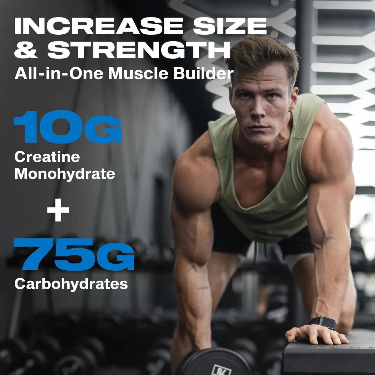 Muscletech Cell-Tech Creatine – 2270g Tropical Citrus Punch. NirooX Nutrition.