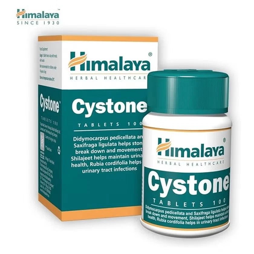 Himalaya Cystone – 2x 100 Tabletten | Harnwege & Nieren - Unterstützung - NirooX NutritionNirooX Nutrition