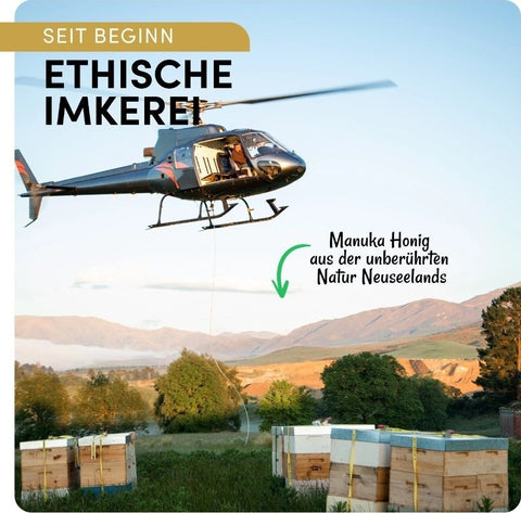 Manuka Vital Honig MGO 450+, 550+ 500 gr aus Neuseeland, Premium - Manuka - Honig - NirooX NutritionNirooX Nutrition