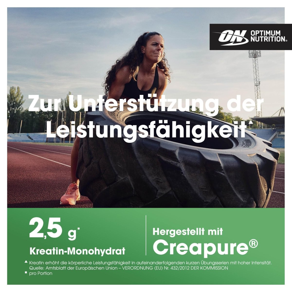 Optimum Nutrition Creatine Monohydrate 317g 634g mikronisiert Bonus Zubehör