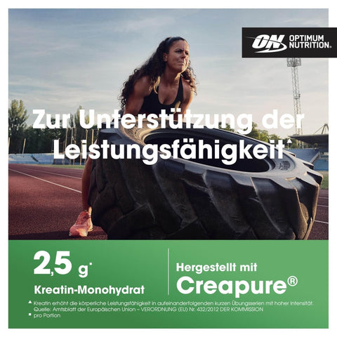 Optimum Nutrition Creatine Monohydrate 317g 634g mikronisiert Bonus Zubehör
